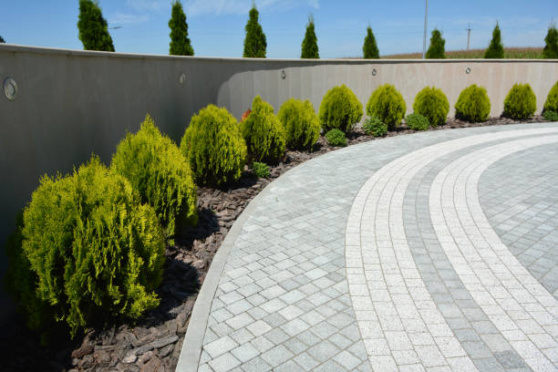 Best Driveway Pavers Near Me  in Level Park Oak Park, MI